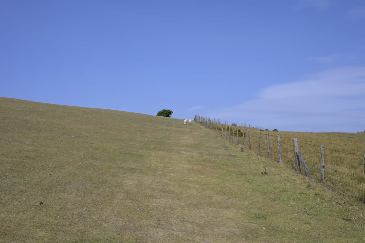 Il gran giorno! La fuga dal Palé!